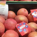 인지공판장 이미지