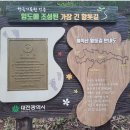 제350차 대전 계족산 황톳길 [2025.09.17. (수요일)] 이미지