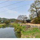 관란정觀瀾亭 이미지