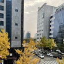 새둔산카센타 | 돼지를 곁들인 대전 학회와 즐거운 초대!