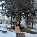 스테이오즈 | 남양주 묘적사 템플스테이 휴식형 후기 | 1일 보살 체험