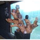 부엉이집 이미지