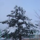 백담별채 이미지