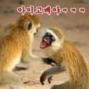 더건강해
