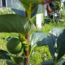 청구농장 이미지