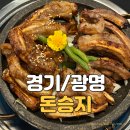 돈승지광명