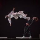 수원-1884 이미지