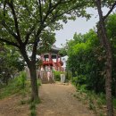 소사공영버스차고지 | 서울 양천구청역에서 부천소사역까지 걷기