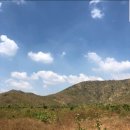 박종수농장 이미지