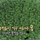 현장 속으로 [마을 주민들이 가꾼 아름다운 숲-머체왓 숲길을 가다] KBS제주 210929방송 이미지