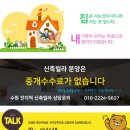 수일초등학교 | **수원 장안구 파장동 신축빌라 리치캐슬**