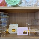 골든햄스터 분양 탬펫 충남아산점 이미지