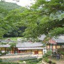 유진장여관 이미지