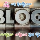 셀레스잇