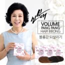 헤어팡팡 & 가발