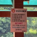 (주)에코비트그린충주 | 충주 백반기행 나온 송어회 강뷰 맛집 들림횟집 후기