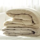 풍성이불집 이미지