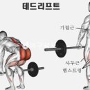 언제든짐 이미지