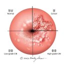 현충원역 버스정류장 | 대전에서 제일 저렴한 곳에서 가다실 3차 맞은 후기, 접종 기간 (자궁경부암 백신)