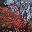 장흥수림원 이미지