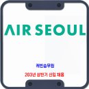 <b>에어</b><b>서울</b> 채용 / 2023년 상반기 캐빈승무원 신입 채용