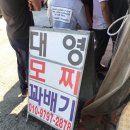 대영모찌 이미지