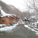 나무와흙한의원 이미지