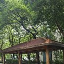 둥지어린이공원 이미지