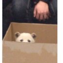 큰집 이미지