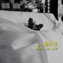 담소정육