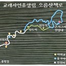 교래자연휴양림-제주돌문화공원(오름과 곶자왈) 이미지