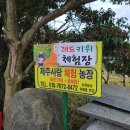 하예로 | 제주 여행 2일차 감귤따고 들렀던 제주 서귀포 흑돼지 찐맛집 추천