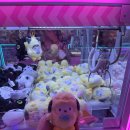 왕창뽑기방 이미지