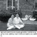 한국첫 시각장애인 박사 백악관 차관보 아내 석은옥 감동수기 이미지