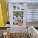 보광초등학교 | [괴산 카페 후기] 아이들과 놀기 좋은 카페 꿀벌랜드