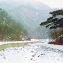 만수산주유소 Daum카페