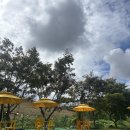 노라도라 이미지