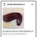 당곡로1R | 안산 고잔동맛집 중앙동술집 바른집 육회비빔밥에 칼빔면 솔직후기