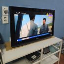 에덴모텔 | [강화도 수영장 펜션] 4인 가족 복층 숙소 에덴의정원 후기