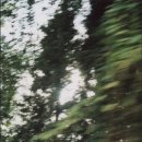우디너리