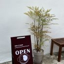 까츠야 - 경산시 청운1로 12-2 | 까츠야