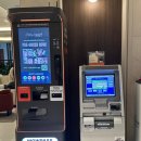 세운호텔 | 서울 호텔 추천 을지로 더 보타닉 세운 명동 호텔 후기