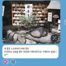 🇯🇵 오사카 3일차 내돈내산 교토 일일버스투어 with 엔데이트립