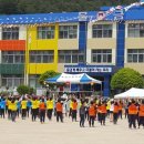 용인대 크는나무 태권도장 이미지