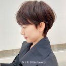 시스루펌 끝판왕? 성수동 시드더뷰티 후기 솔직하게 털어놓겠습니다!