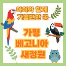 곳 | 가평 베고니아 새정원 - 아이와 가볼만한 곳 추천, 후기