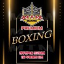 더 프리미엄 복싱 이미지