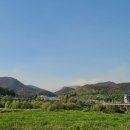 함지산 산불 이미지