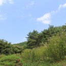 미동산수목원 이미지