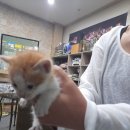 성진동물병원 이미지